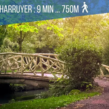 Cosy Up - Vieux Port - Hyper Centre